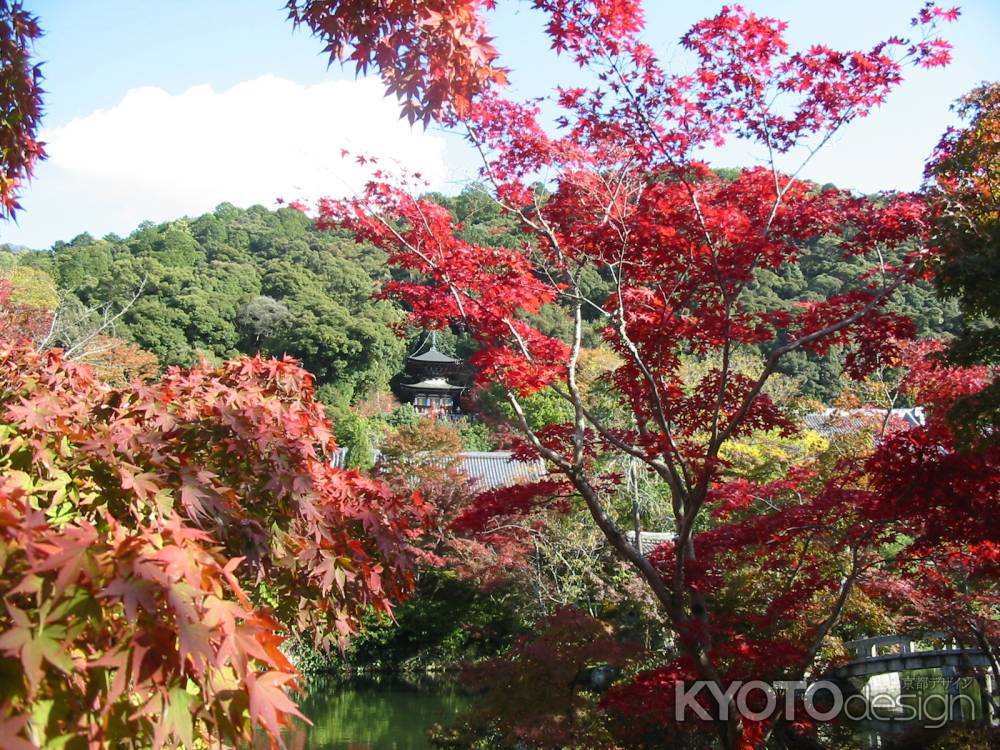 紅葉越しに見る多宝塔