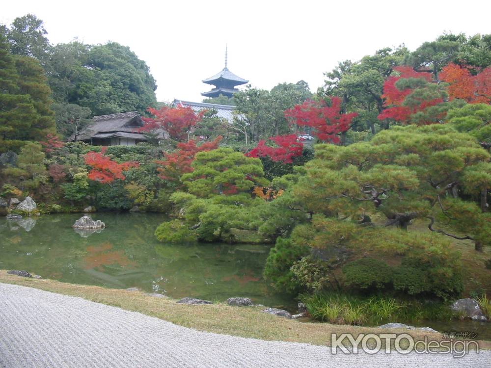 仁和寺 北庭から望む五重塔