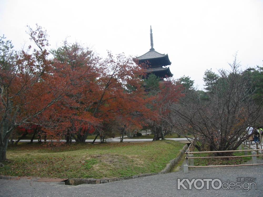 仁和寺 秋の境内