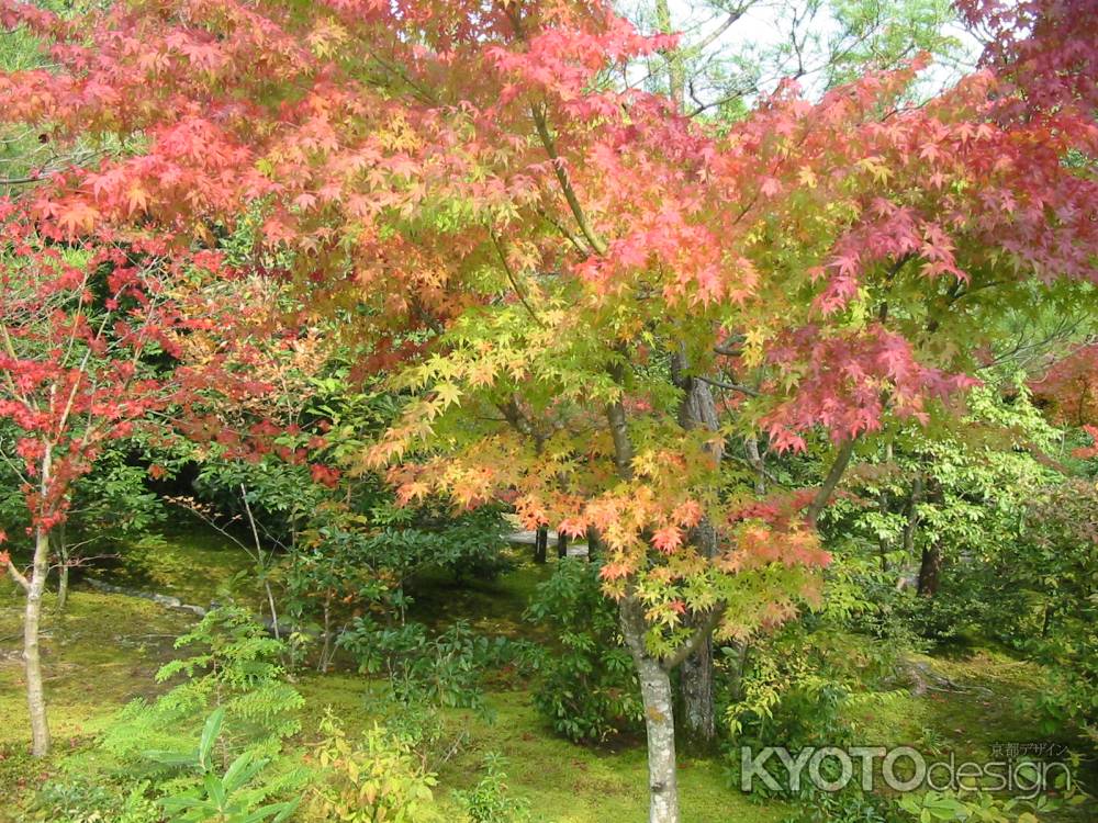 光悦寺庭園