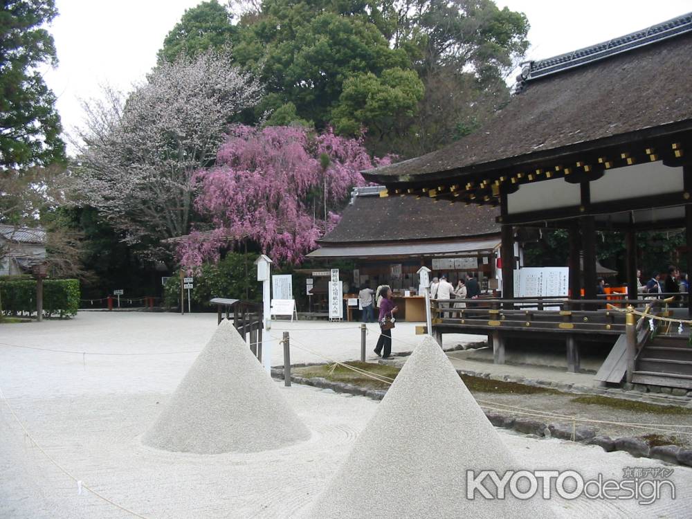 春の上賀茂神社境内