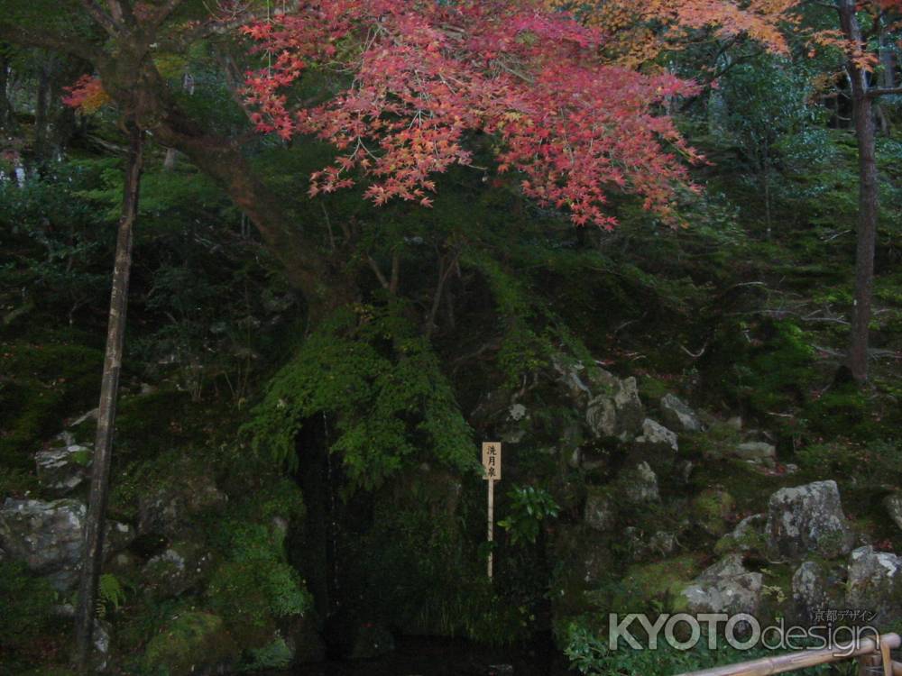 銀閣寺洗月泉と紅葉