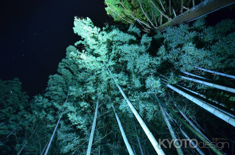 夜空に延びる青灯