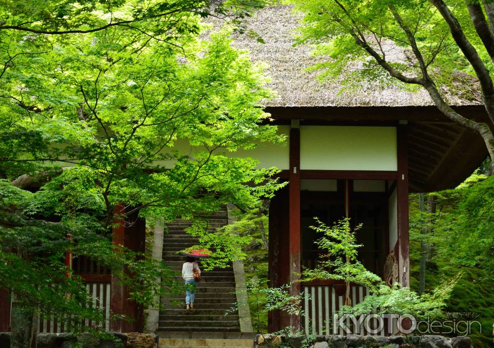 小倉山、緑彩る雨