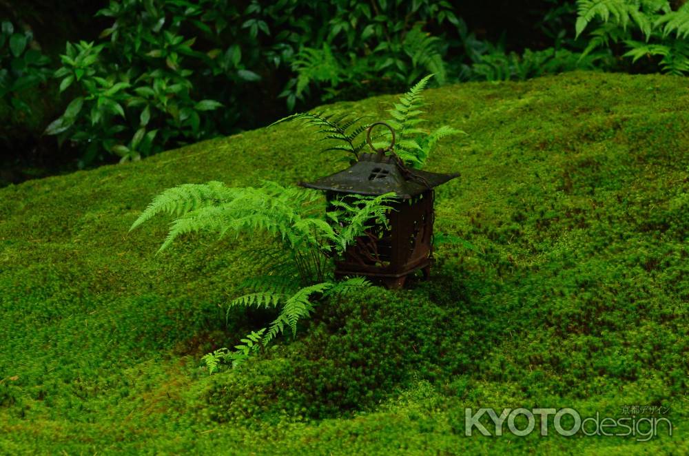 嵯峨野の静緑