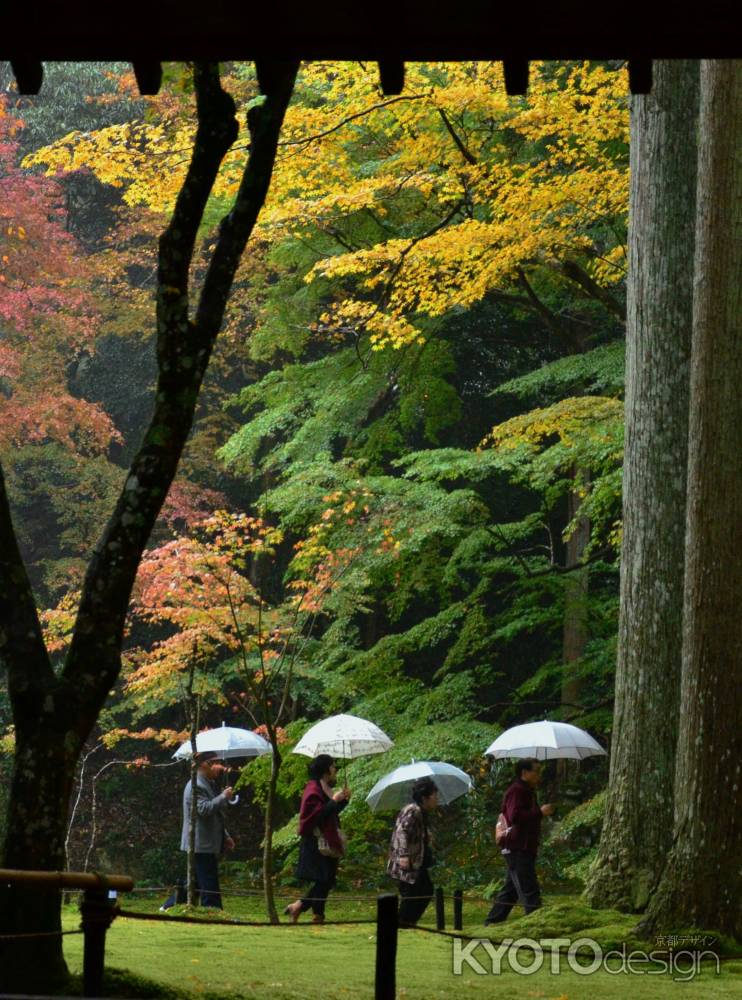 雨のお参り