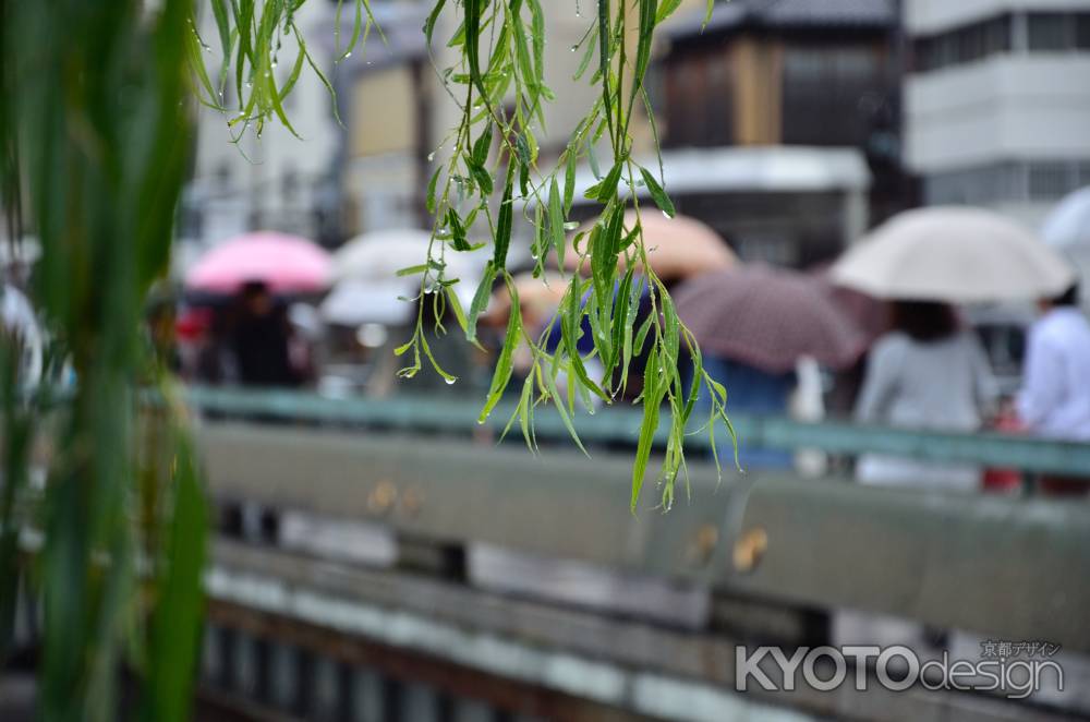 秋雨の四条大橋