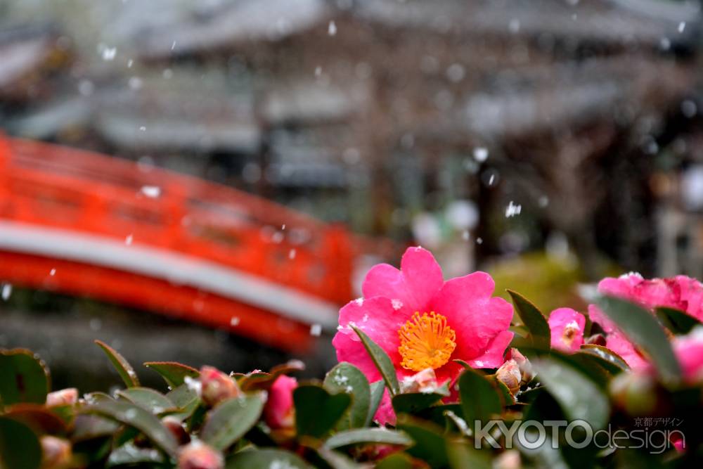 恵方の降雪