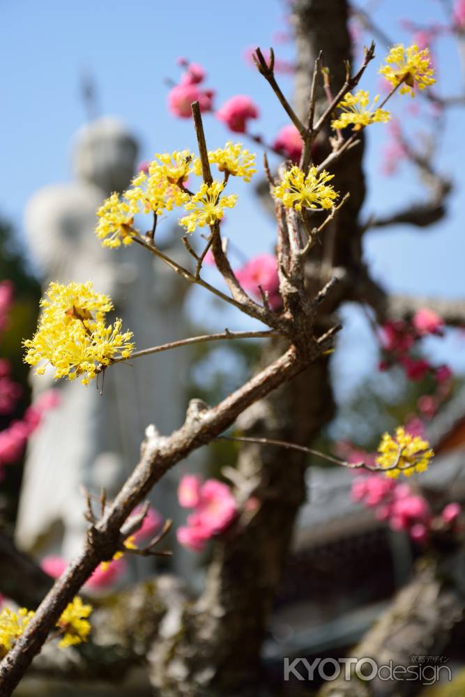 西山、春の木々