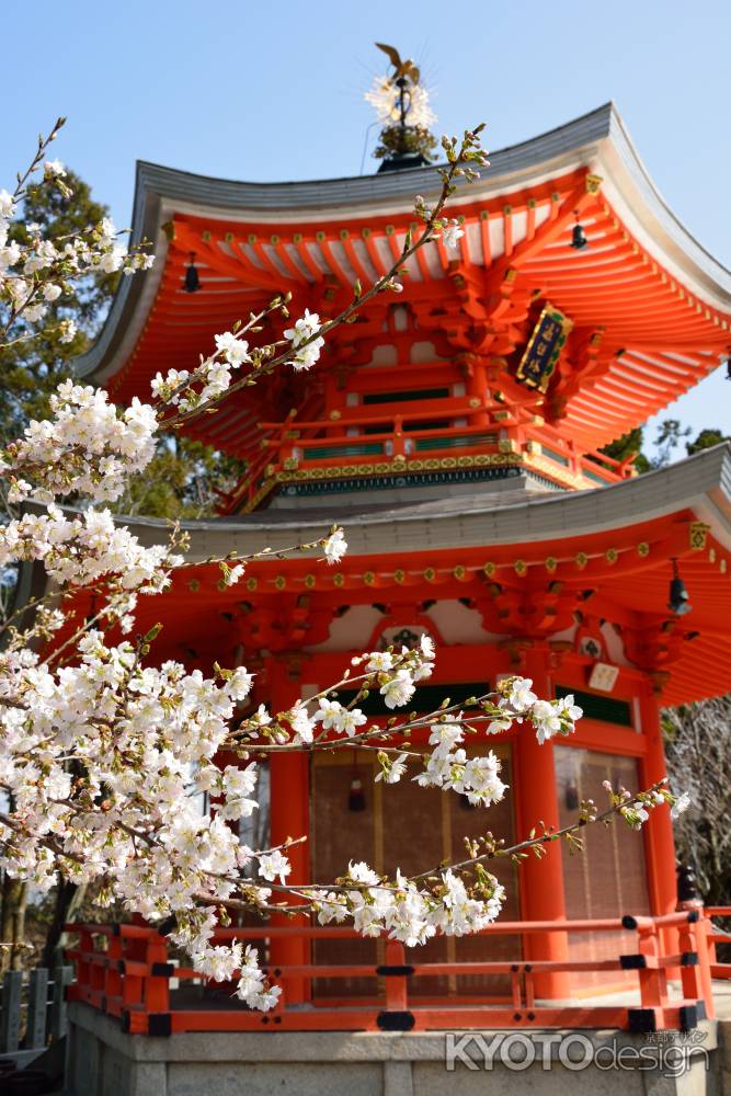 洛西、彼岸の花