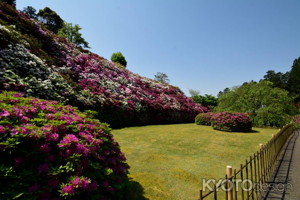 花寺、春の盛り