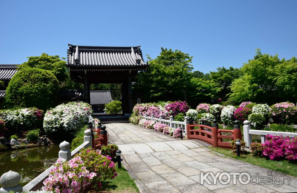 洛北、花の寺