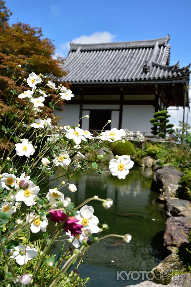 西山、花寺の秋