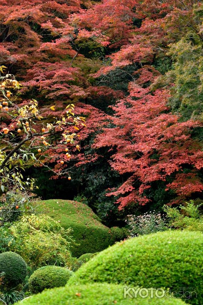 丈山の彩色