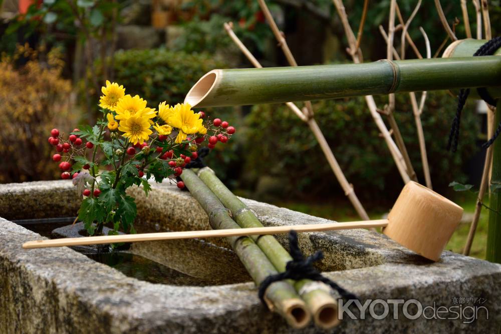 裏寺町、冬花