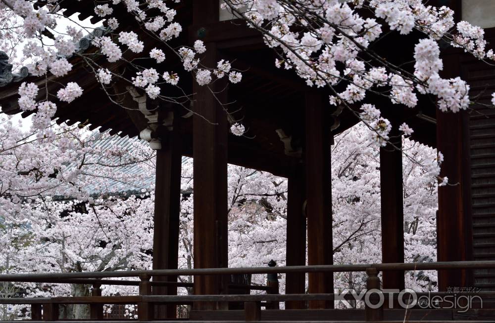 花盛る具足山