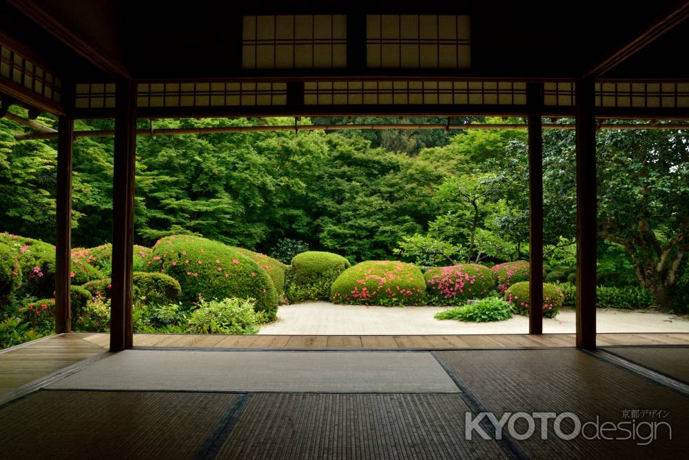 丈山寺、緑の季節