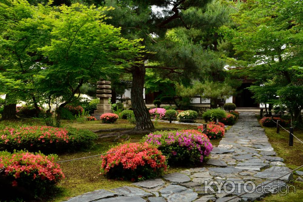 松風の紅飾り