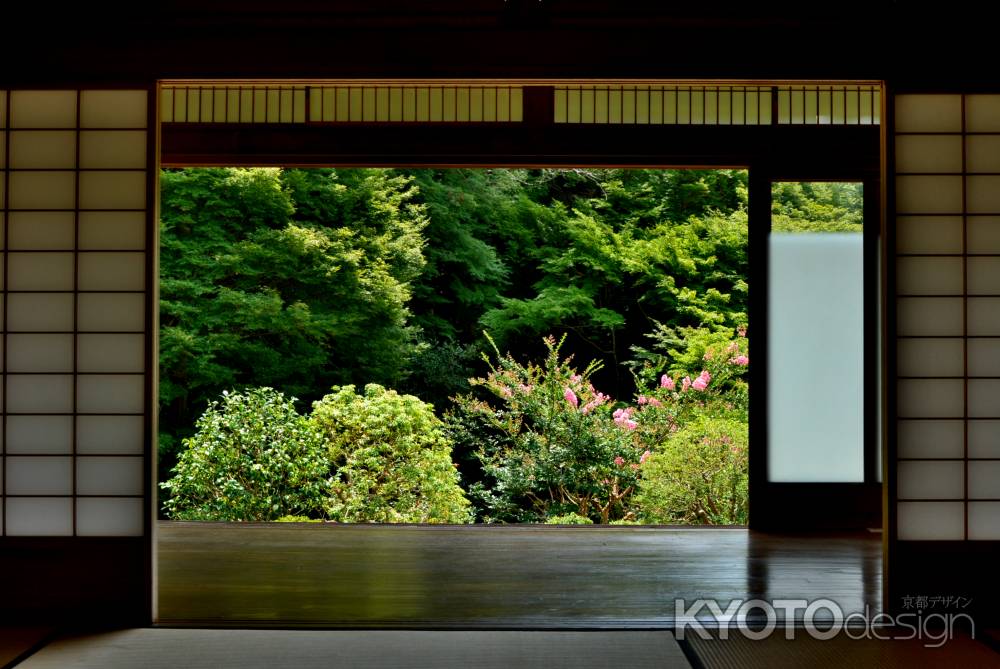 東山、紅花咲く庵