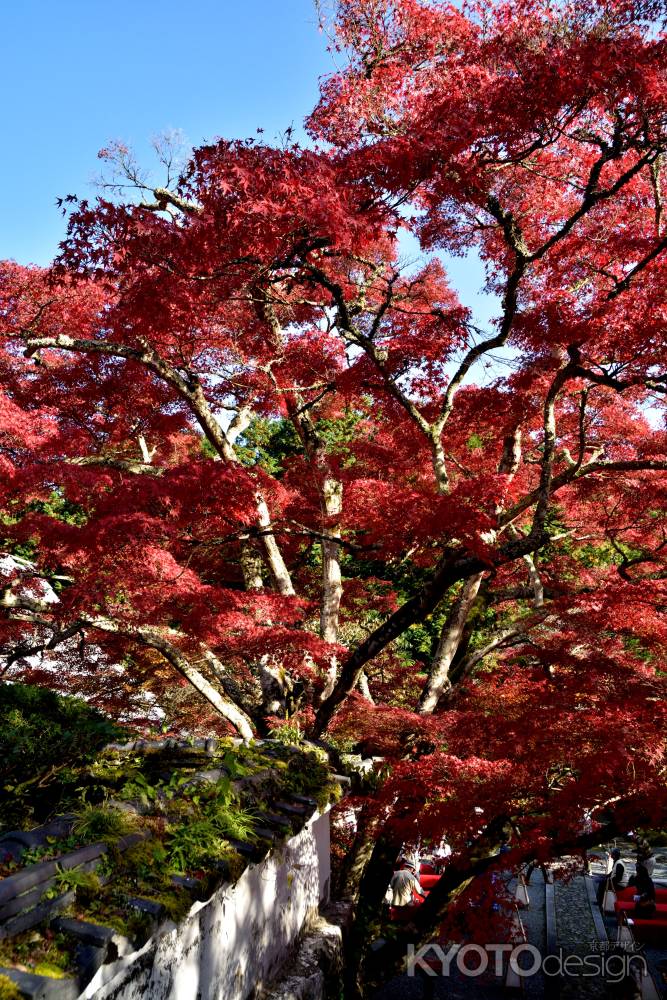 染まる朝日山