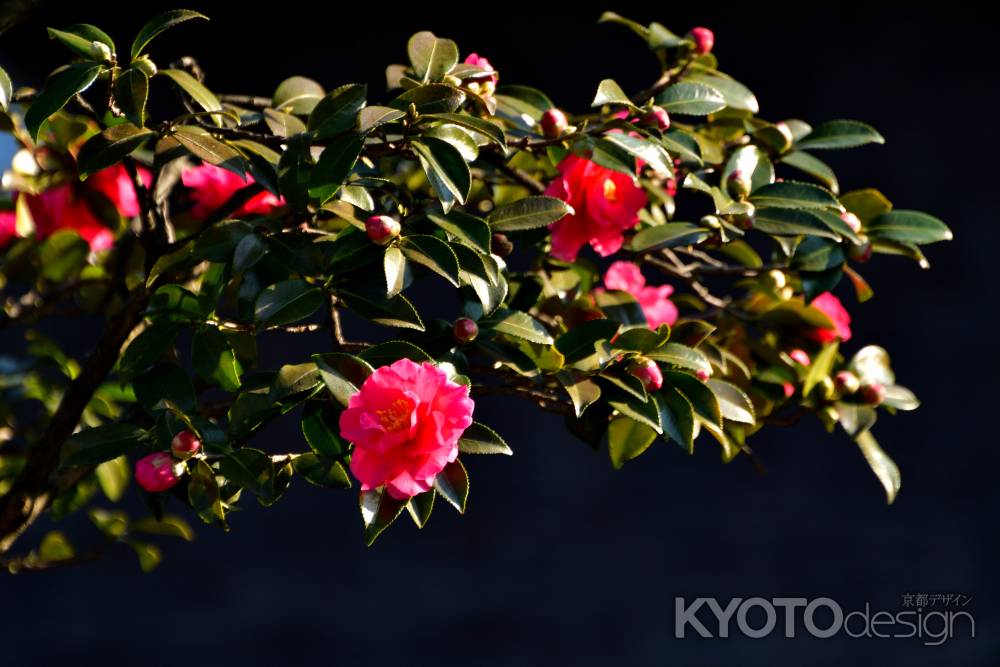 冬の花飾り