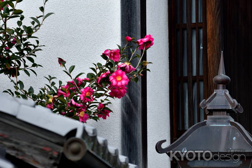 東山、花の設え