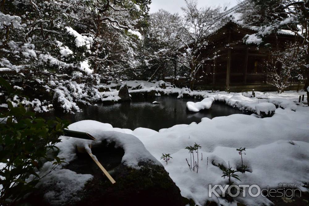 雪空に凛と