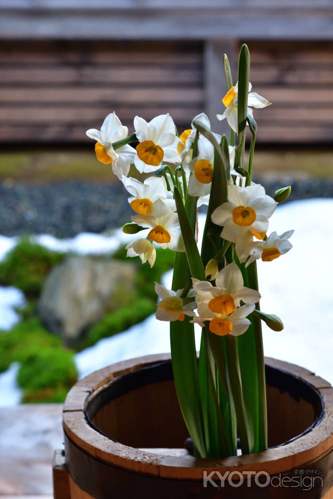 冬花の粋