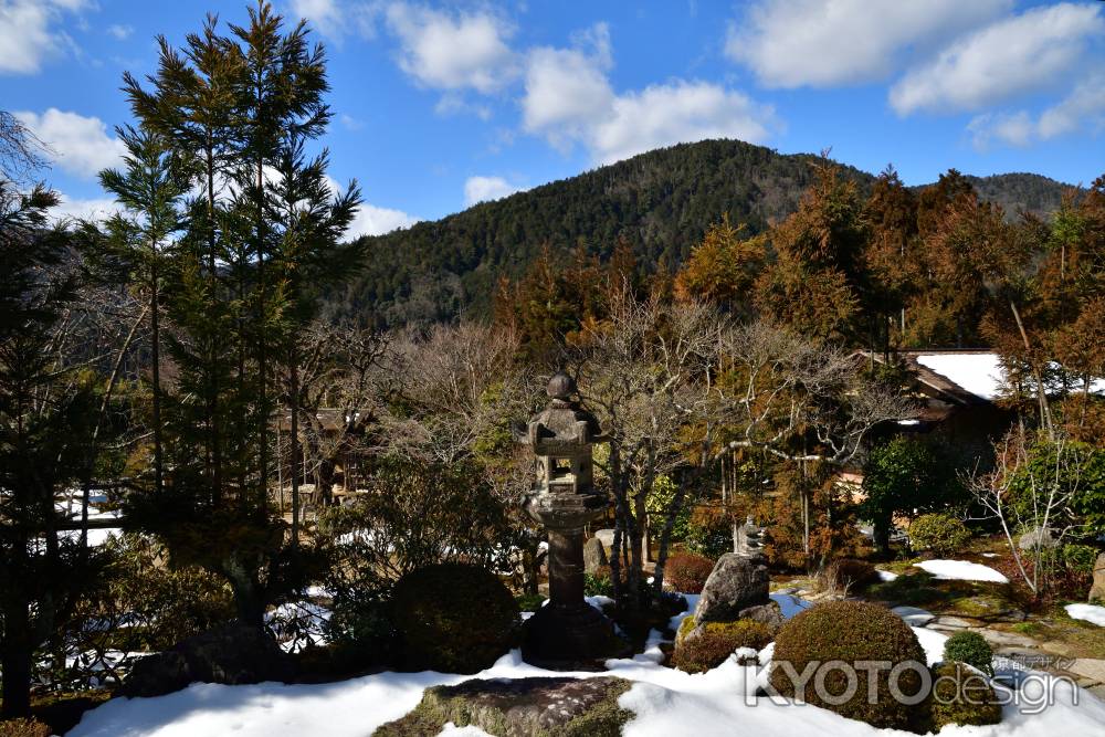 魚山、残り雪