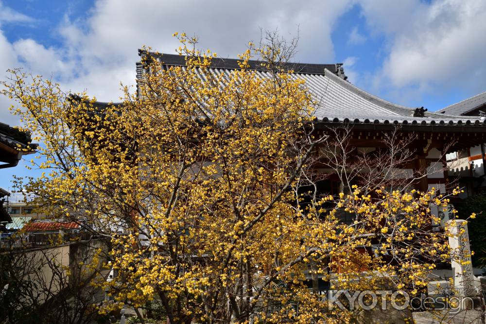 花香る寺