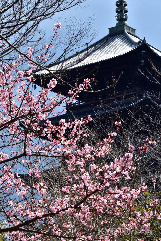 春風の護国寺