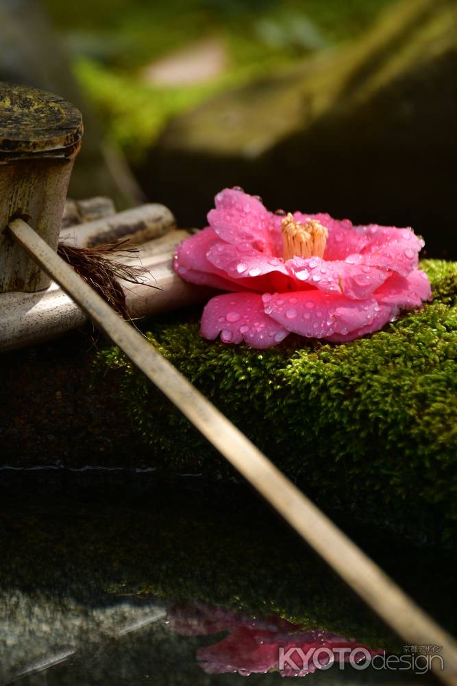 鹿ケ谷、花飾り