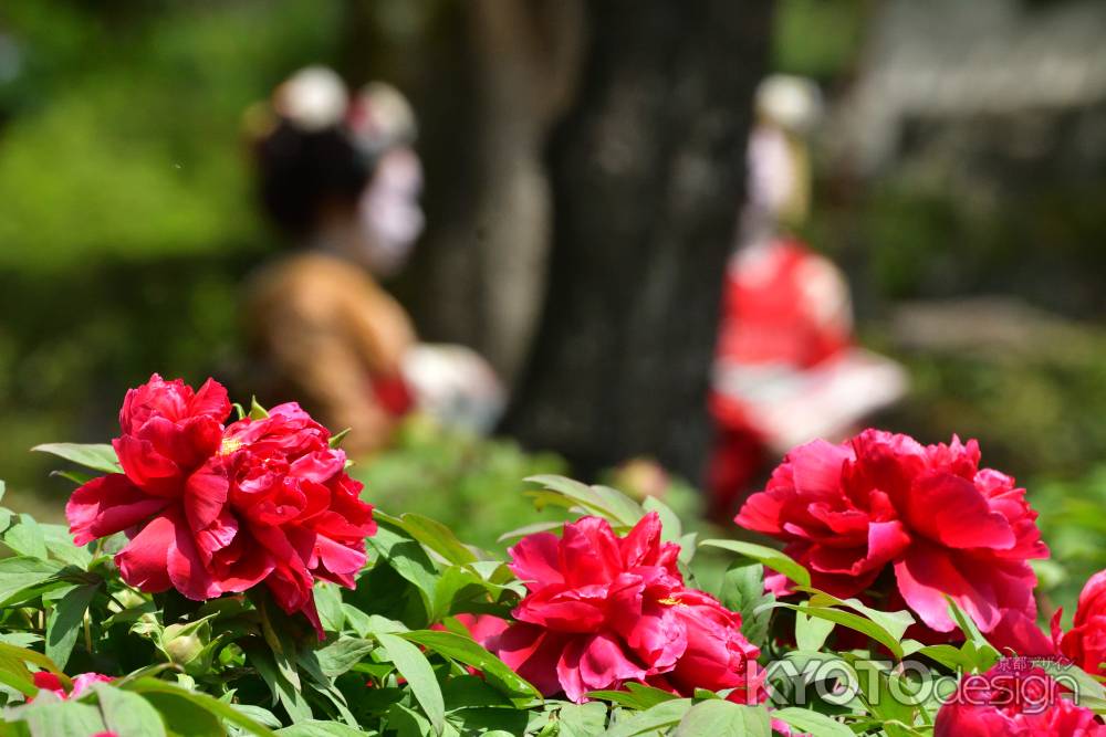 祇園の花飾り