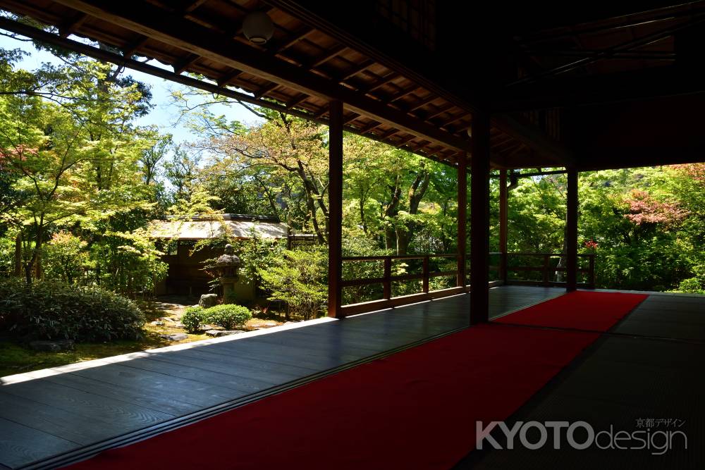 禅寺、緑の癒し