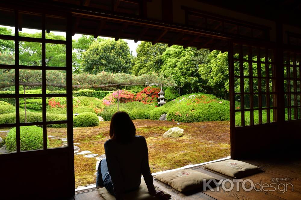 禅寺、緑の春風