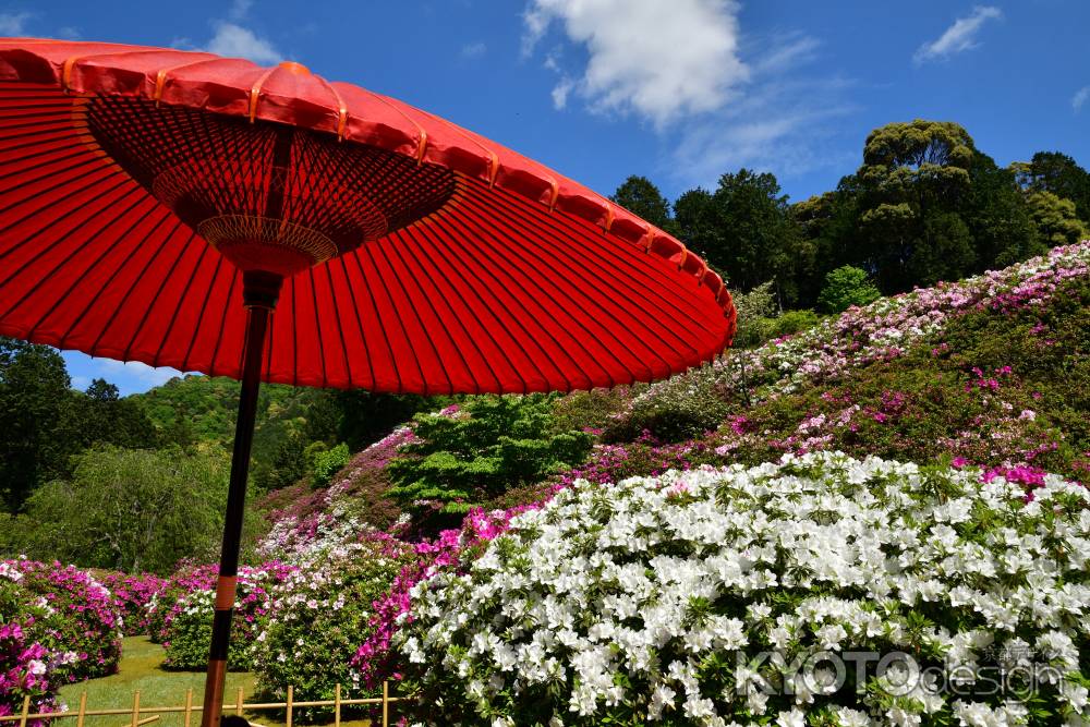 陽春の花織物