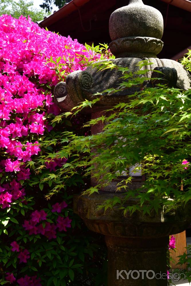 花染め東山