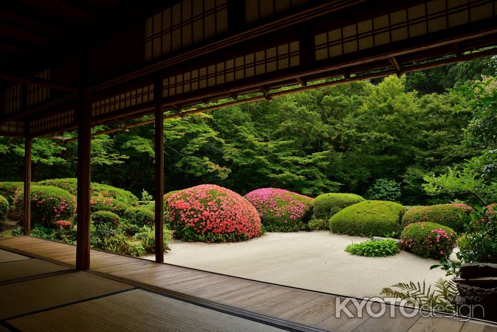 丈山寺、皐月模様