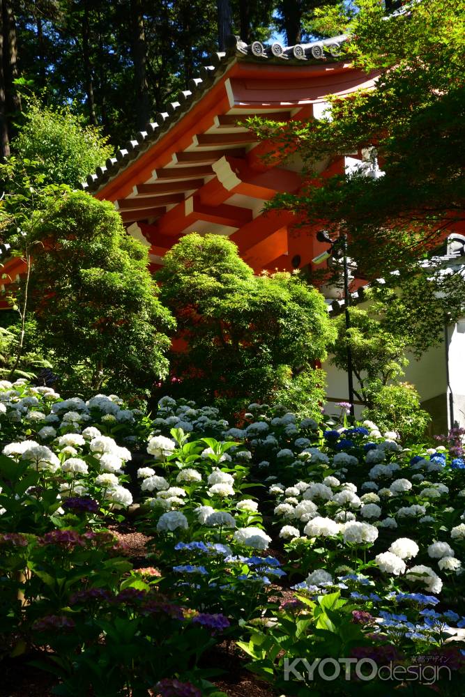 山寺、七変化