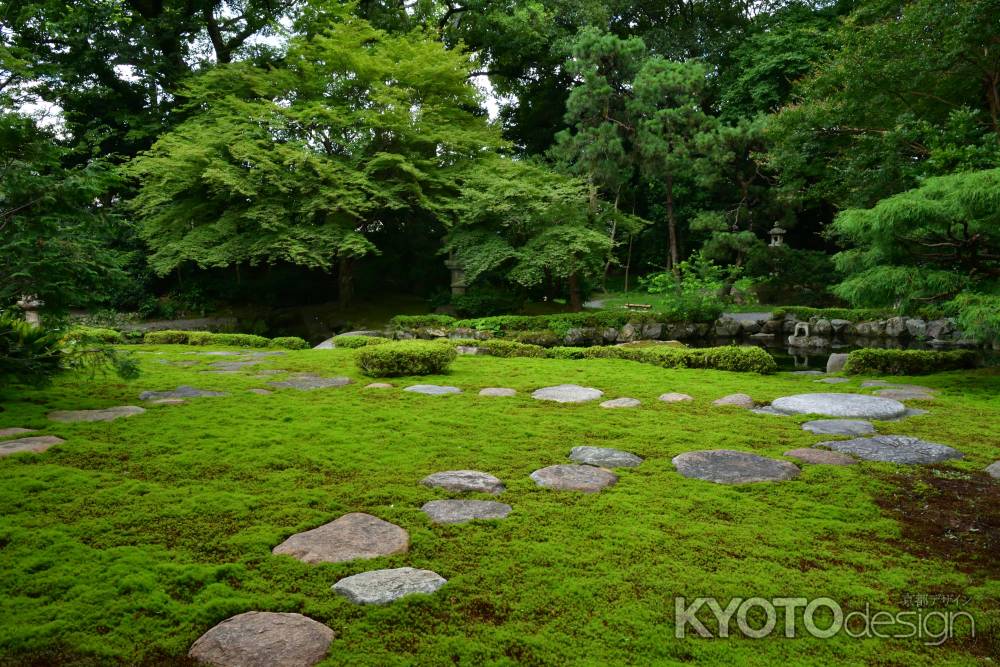 下鴨に静かに