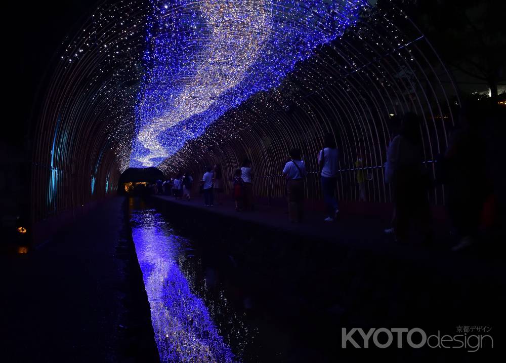 堀川、星の往く道