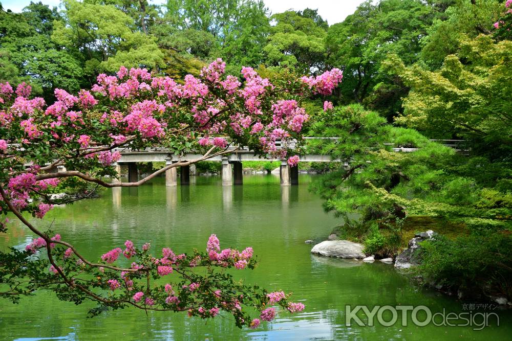 拾翠亭,夏の紅花