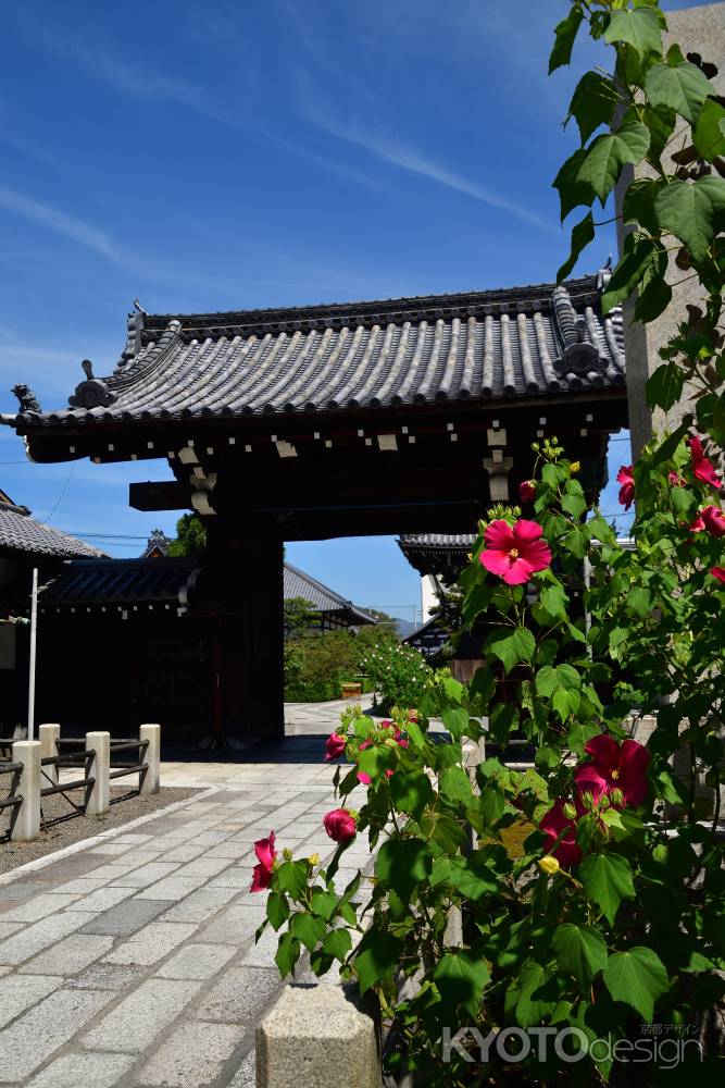 芙蓉の山門