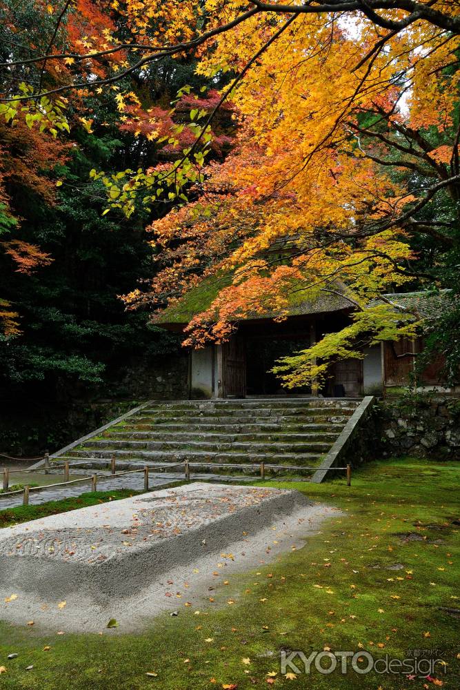 彩り東山