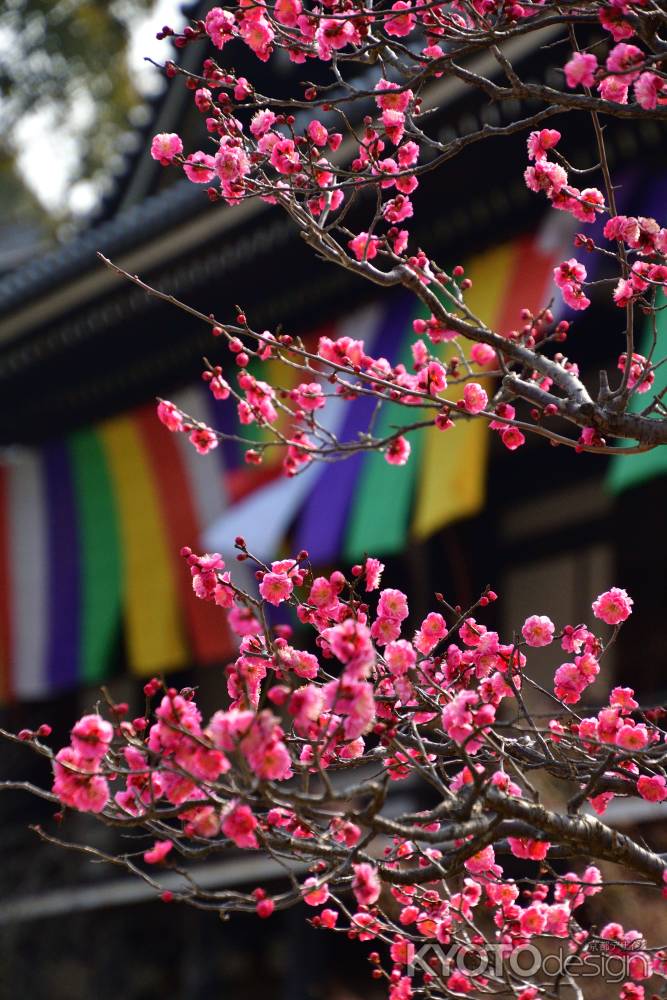 東山、春の兆し