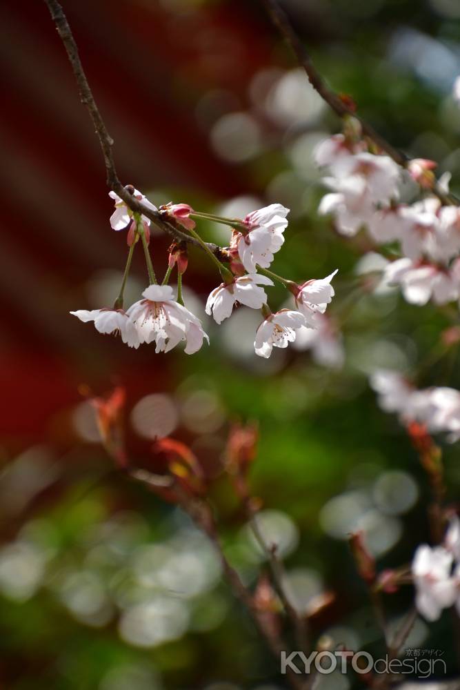 社の花飾り