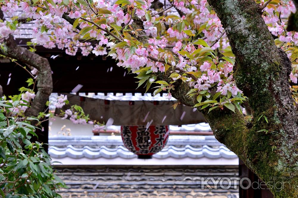 風香る花の寺