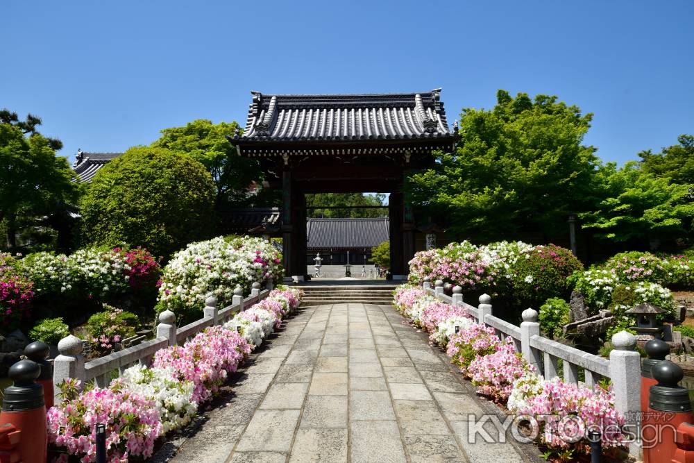 幡枝、花五色