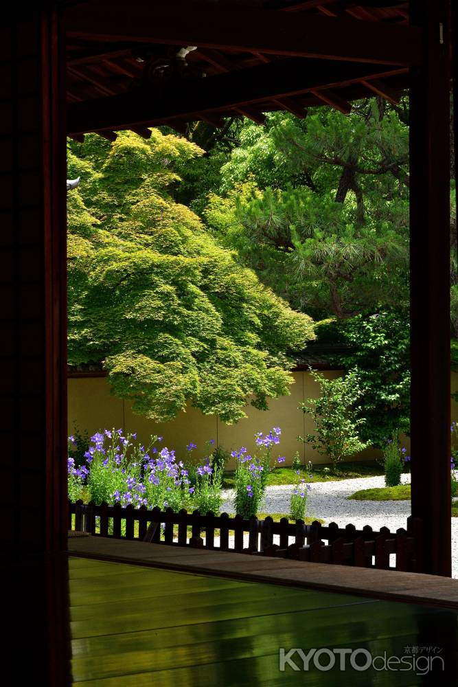 桔梗の寺、緑の候