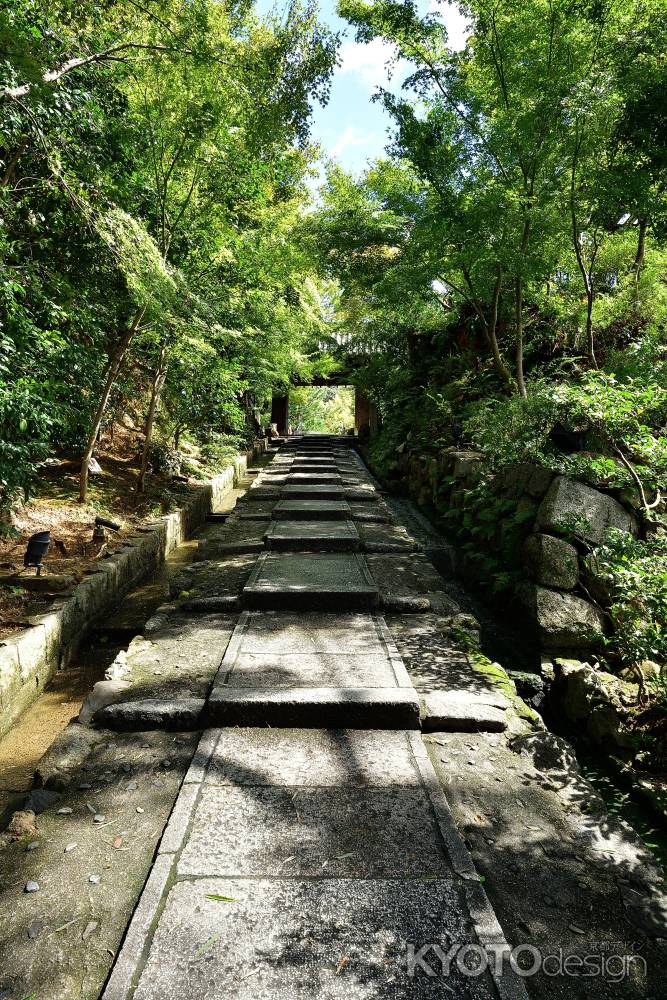 東山、緑の陰影